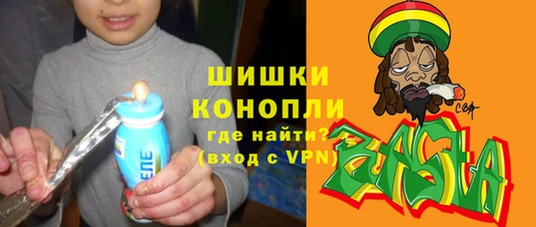 сатива Куйбышев
