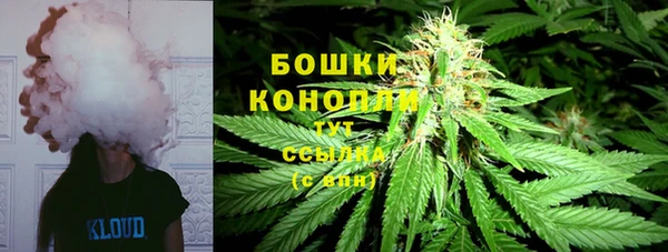 сатива Куйбышев