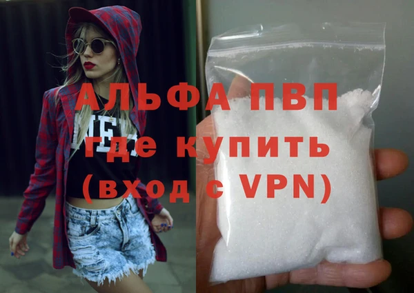 сатива Куйбышев