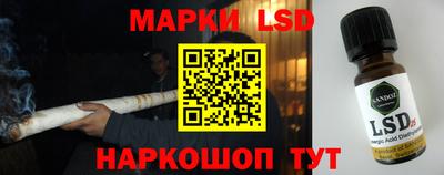 стафф Дубна