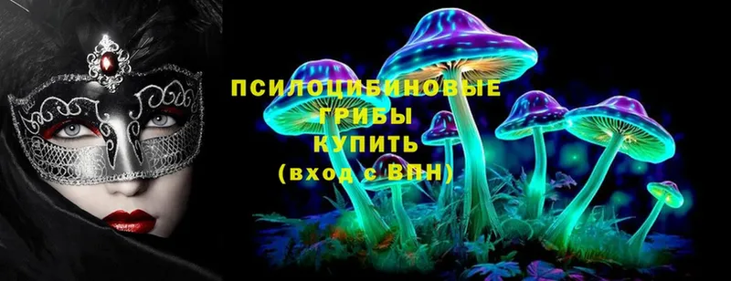 мега ссылка  Ярцево  это клад  Галлюциногенные грибы Psilocybe 