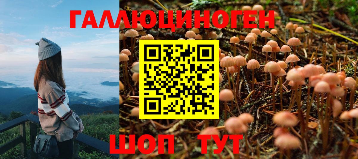 Галлюциногенные грибы Psilocybe Ярцево